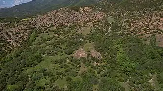 Veyseli