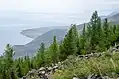 Le cap Ryty&nbsp;(en) est situé dans la réserve.