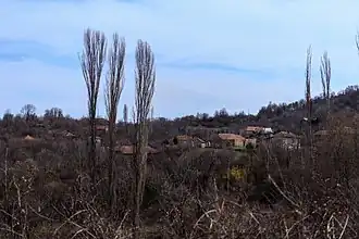 Nikoulyané