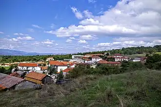 Raytsa