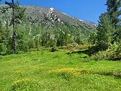 Prairie avec des arbres de la taïga près du lac Inférieur.