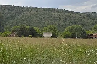 Vitantsi