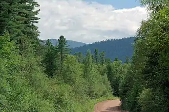 Piste dans la taïga.