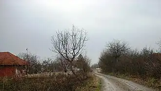 Dubrava (Bojnik)