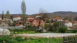 Rakitets