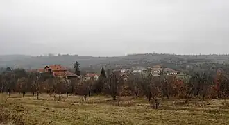Ivanje (Bojnik)