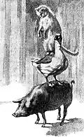 Illustration par Dmitri Kardovski.