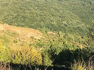 Chipkovitsa