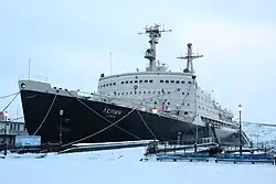 Au centre de l'image se situe un brise-glace imposant avec sa coque rouge vif et sa superstructure blanche, amarré aux quais du premier plan par des cordes. À l'arrière-plan, une étendue glacée infinie se confond avec un ciel pâle et brumeux.