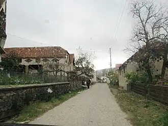 Maletina