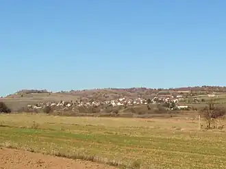 Mamouttchevo