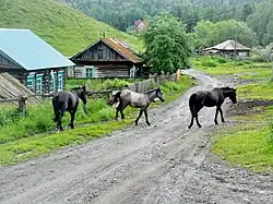 Rue Gornaïa avec des chevaux.