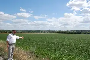 Sur ce site, les archéologues ont trouvé les vestiges d'une ancienne ville de la culture de Cucuteni-Trypillia, dans l'oblast de Tcherkassy.