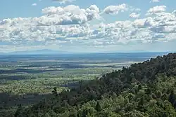 Forêts de pins de Sibérie et de feuillus de Khekhtsir.