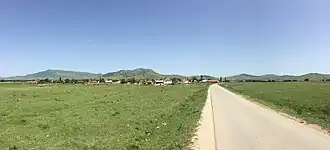 Mousintsi