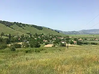 Novoselani