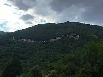 Prisoynitsa