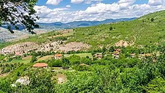 Jivalevo