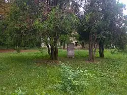 Le parc classé,