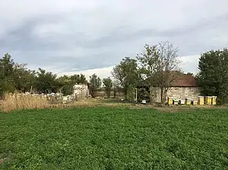 Batanyé