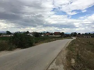 Borotino