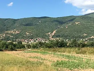 Vrboets