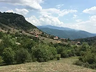 Grounichta