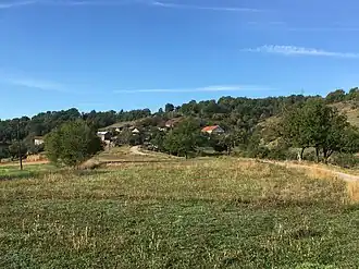 Doulitsa