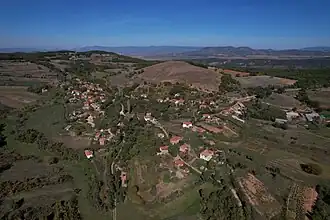Kolitsko