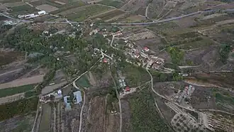 Ribartsi