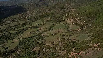 Terzeli