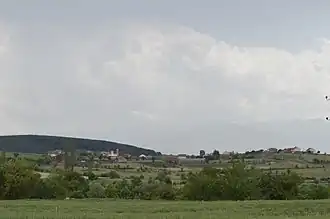 Trsino