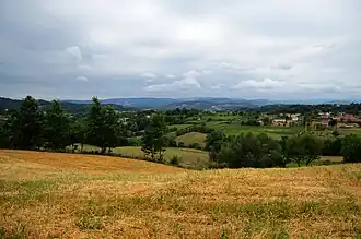 Poljanice (Ljig)