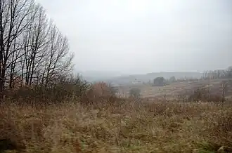 Zorovac