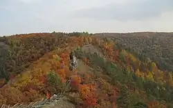 Zhiguli Zapovednik