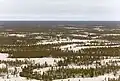 Plaine centrale de Iakoutie, région de Toukoulan&nbsp;(en) dans la taïga