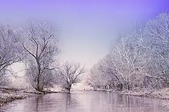 sous la neige.