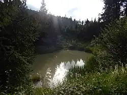 lac,