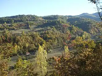 Stance (Vranje)