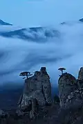 Demerdji dans les monts de Crimée (janvier 2013).