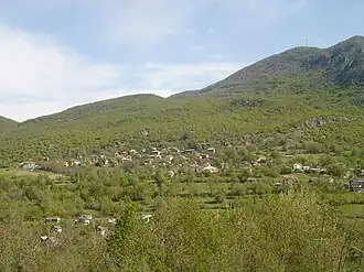 Tachmarounichta