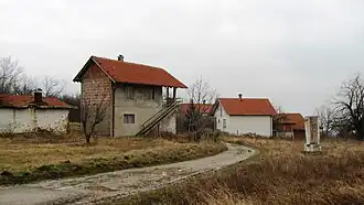 Turjane