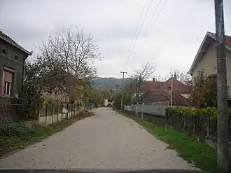 Braljina (Ražanj)