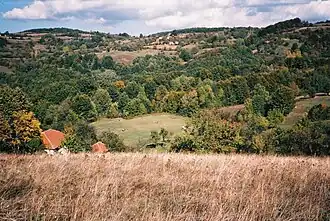 Urmanica