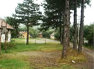 Kijevac (Surdulica)