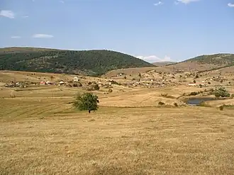 Crvsko
