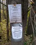 informant de l'interdiction faite aux civils de se rendre dans la forêt pendant la loi martiale, 2022