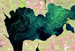 Vue aérienne d'une large bande d'eau en fausse couleur. Sur ce rectangle noir, on voit des vagues vertes dessus.