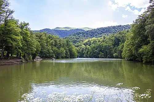 Lac Parz.