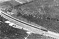 Train passant dans les vergers autour de Rehovot en 1939.